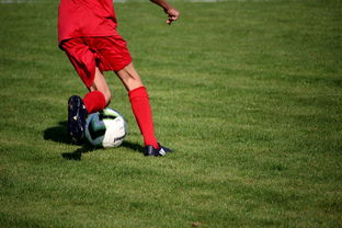 米兰 MILAN GAME-中国足球年度球员突破方式分类汇总，中国足球球员数据